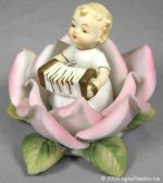 Rose Baby